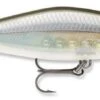 Rapala Shadow Rap Shad Deep 09 Jerkbait -Professional Fishing Store sdrsd09ghsh Ghost Shiner 52772480 e43d 4f6a 8453 9d72d714b76b