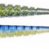 Xzone Pro Series Swammer Paddle Tail Swimbait