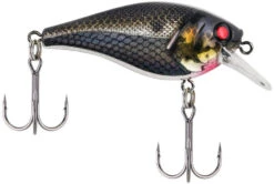 Berkley SquareBull 2 3/8 Inch Shallow Squarebill Crankbait -Professional Fishing Store squarebull black silver a43ada4f f3fc 4f83 abd8 116ee7b133b0