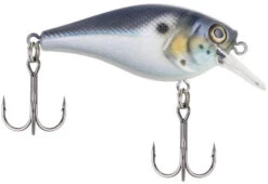 Berkley SquareBull 2 3/8 Inch Shallow Squarebill Crankbait -Professional Fishing Store squarebull blue black 785f5c02 8d74 4391 8cff efb332981a52