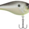 Berkley SquareBull 2 3/8 Inch Shallow Squarebill Crankbait -Professional Fishing Store squarebull chameleon pearl edde6e06 c7d7 4ce1 91dd 058d9e3eaac2