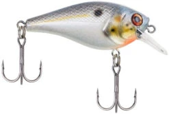 Berkley SquareBull 2 3/8 Inch Shallow Squarebill Crankbait -Professional Fishing Store squarebull sexier shad 1d609b07 b72e 43cb ae5f 8f3b1f1c079e