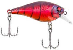 Berkley SquareBull 2 3/8 Inch Shallow Squarebill Crankbait -Professional Fishing Store squarebull special red craw a3eeef37 c990 4d30 a2a4 9203d3981ecd