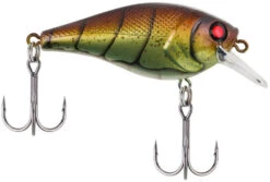 Berkley SquareBull 2 3/8 Inch Shallow Squarebill Crankbait -Professional Fishing Store squarebull vintage craw 80989045 ac81 41fe b62e aacb608a8003