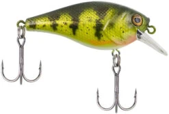 Berkley SquareBull 2 3/8 Inch Shallow Squarebill Crankbait -Professional Fishing Store squarebull yellow perch 08cc63df 2824 4d70 8487 3e7beebcaa15