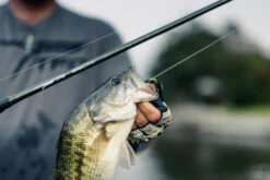 Temple Fork Outfitters Tactical Elite Bass Baitcasting Rods -Professional Fishing Store tfo tactical elite bass bottom banner lifestyle 5 1