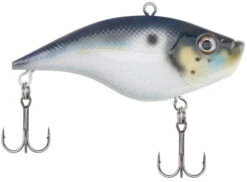 Berkley Warpig Lipless Crankbait -Professional Fishing Store warpig blue back