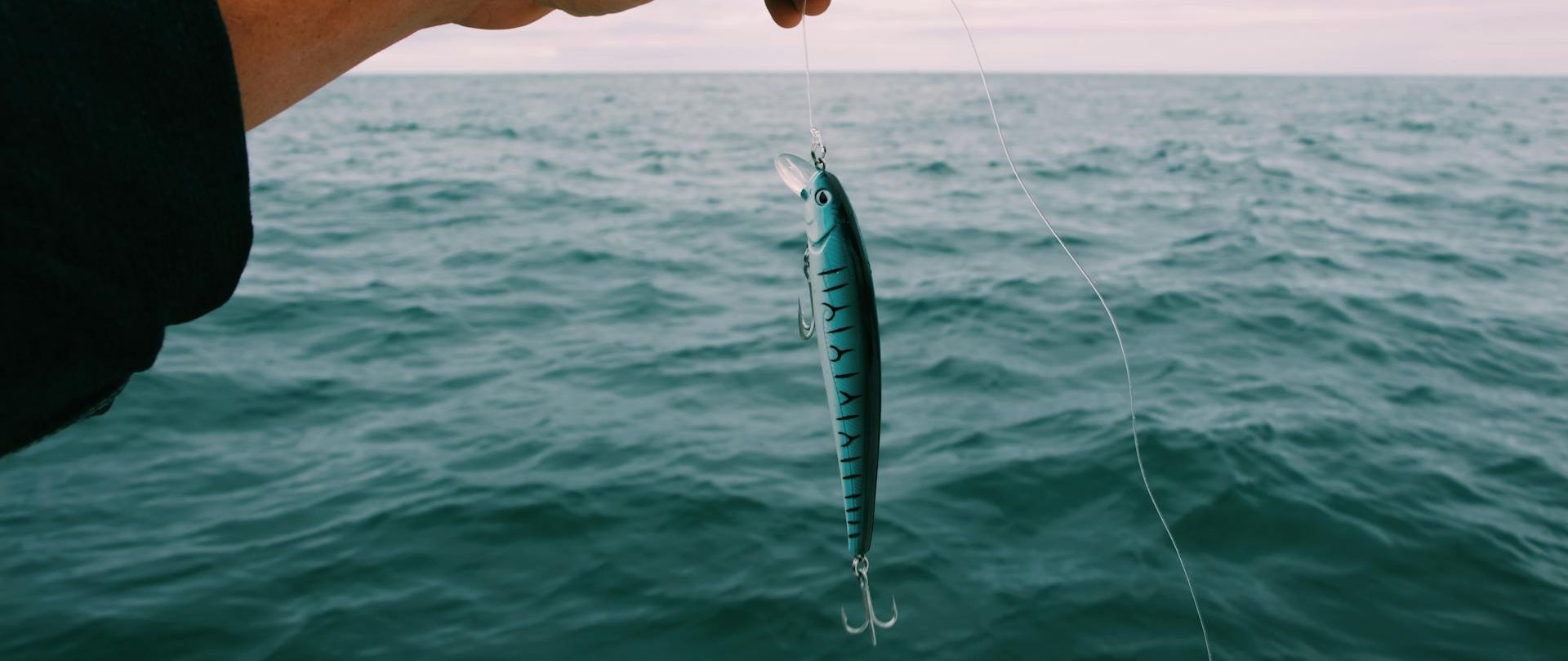 Professional Fishing Store -Professional Fishing Store pexels toulouse 3098597